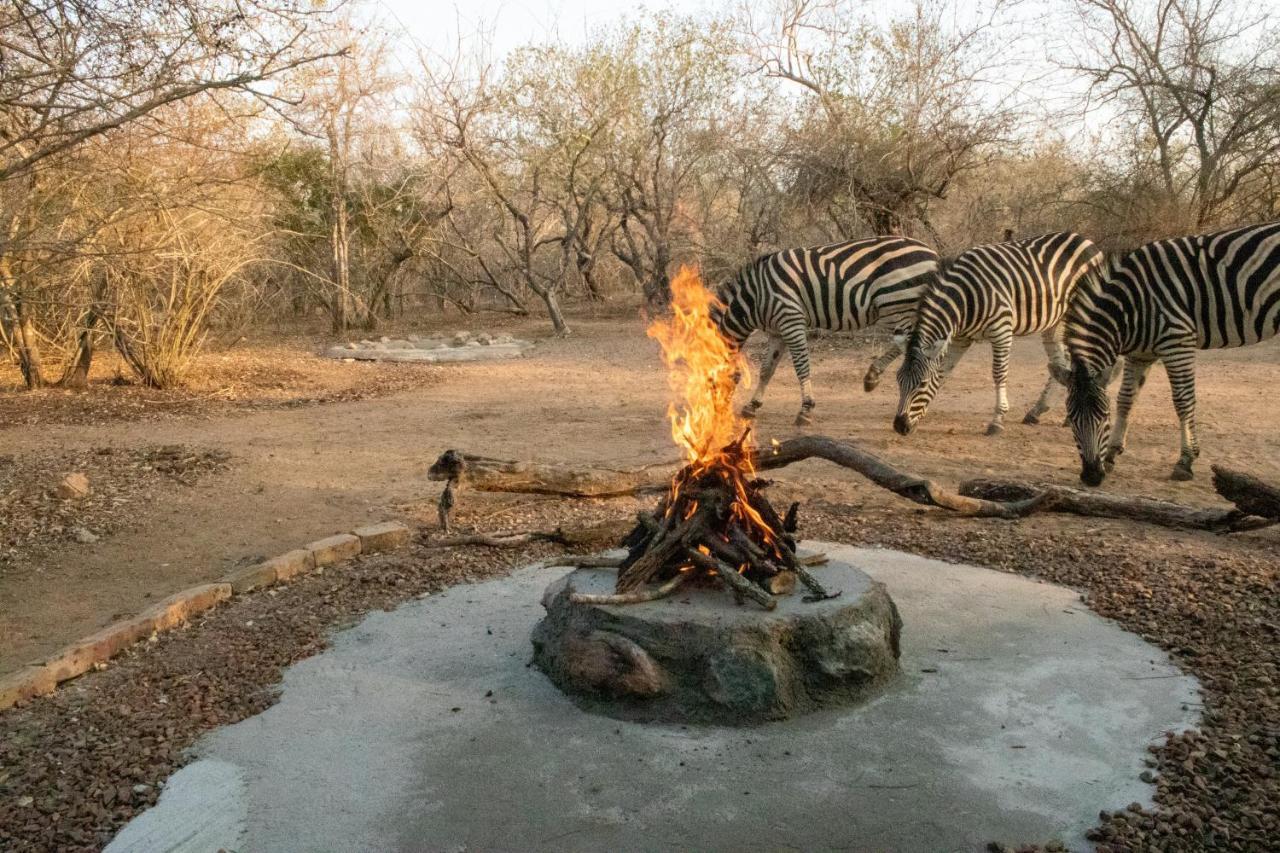Hello Kruger Hideaway Cottage & Skilpad Studio Марлот-Парк Екстер'єр фото